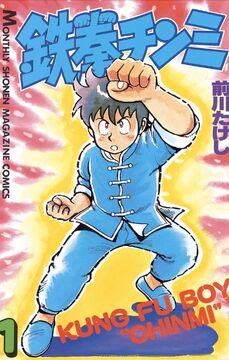 Ironfist Chinmi | Martial Arts Wiki | Fandom