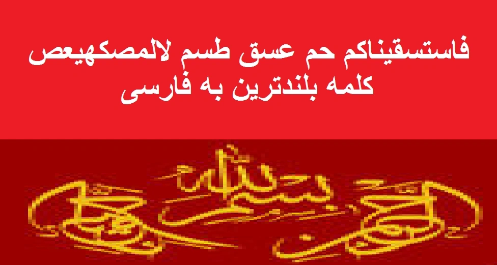 New Canaan Martial Arts Kids Wiki Fandom