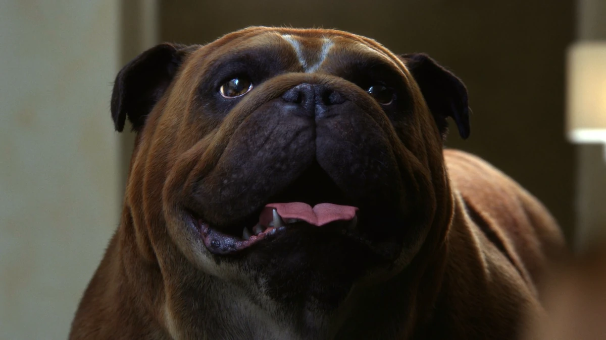 Lockjaw Marvel ABC Wikia Fandom