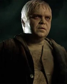 CYRUS GOLD visual data 4