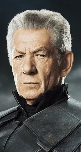 Erik Magnus Lehnsherr (Reality-10005) | Marvel Cinematic Universe Fanon