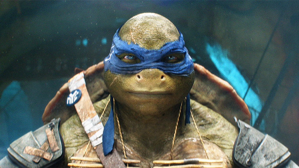 Leonardo (serie fílmica de 2023), Tortuga Ninja Wiki