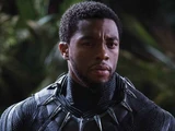 T'Challa Udaku (Black Panther)