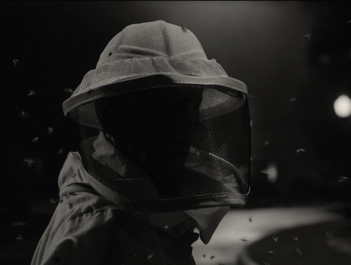 Franklin | Marvel Cinematic Universe Wiki | Fandom