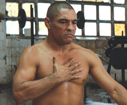 rickson gracie hulk