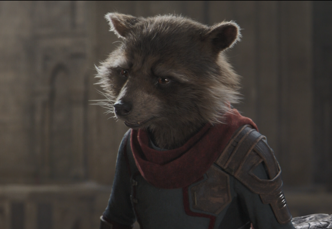 Rocket Raccoon  Encyclopédie Marvel CinéVerse