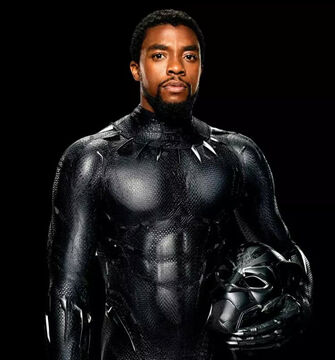 Black Panther Marvel Cinematic Database Fandom