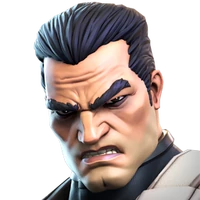Punisher portrait