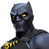 Black Panther portrait