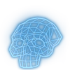 Skull Hologram