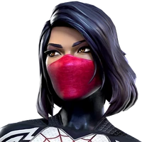 Silk portrait
