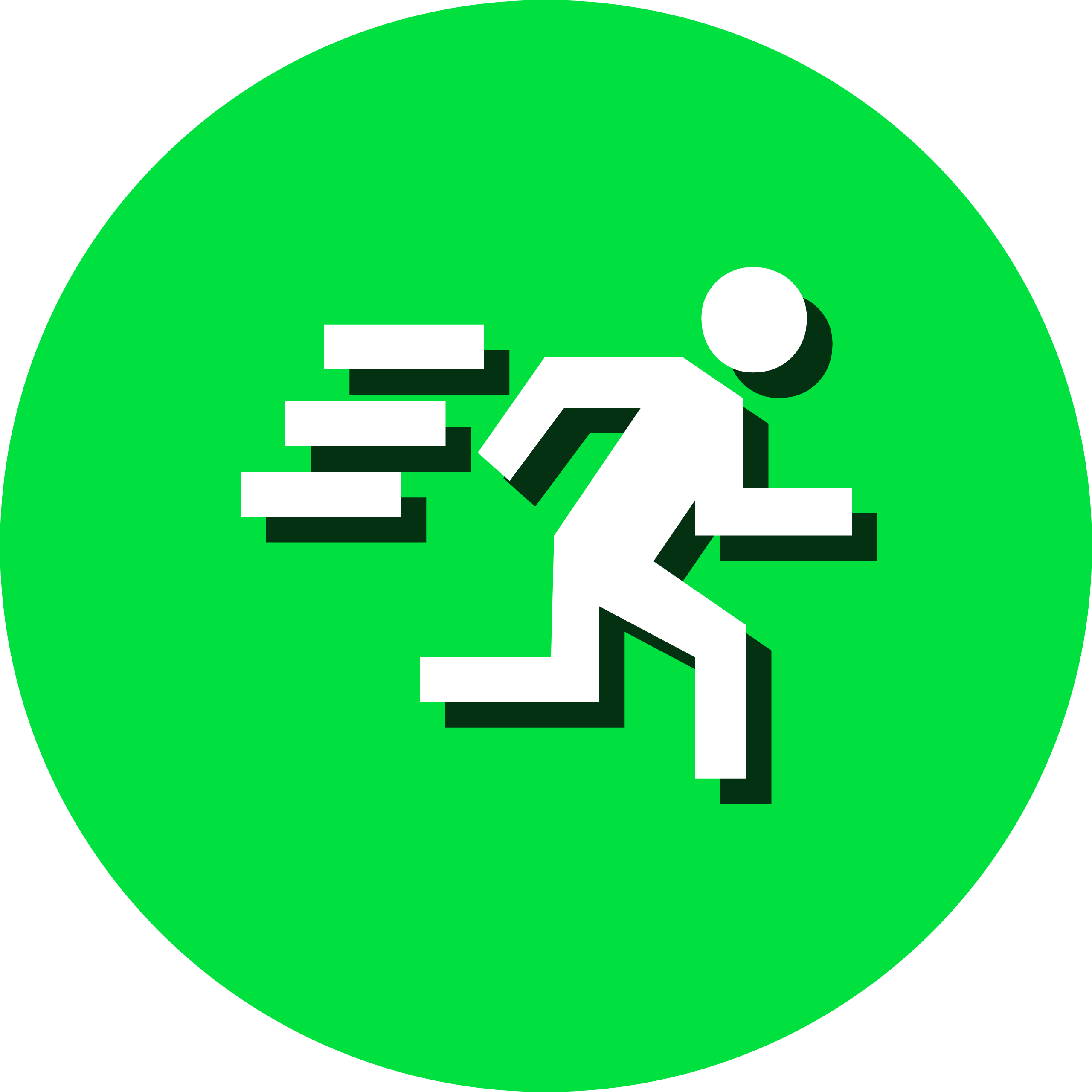 Evasion