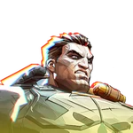 Lord Icon The Punisher