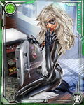 Wicked Bad Luck Black Cat