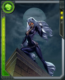 [Sign of Bad Luck] Black Cat