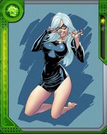 Black Cat