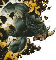 Rhino2.jpg