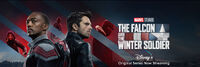 The Falcon and the Winter Soldier banner 003