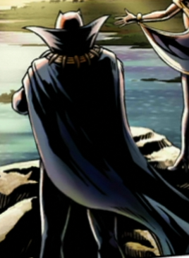 T'Challa (Earth-30847)