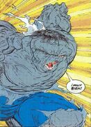 El Increible Hulk (Robert Bruce Banner