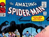 Amazing Spider-Man Vol 1 22