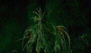 ManThing2005
