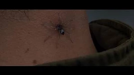 Peter é mordido por uma aranha geneticamente modificada