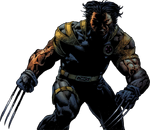 240px-Wolverine-(Earth-1610)