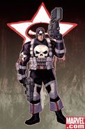 Frank Castle (Alternatif)