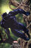 Black Panther Vol 8 3 Marvel Masterpieces Variant