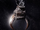 Moon Knight (TV series) poster 001 textless.png