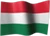 FlagHun