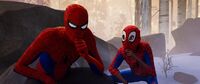 Peter is thinking a plan