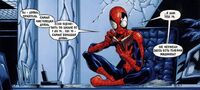 USM19Spider-ManinHI.jpg