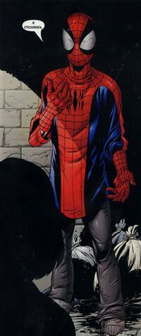 USM 41 half suit of Spider-Man.jpg