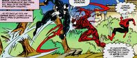 Battle in the Central Park between Spider-Man Venom and Carnage
