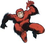 Gibbon2.jpg