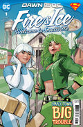 Fire & Ice: Welcome to Smallville Vol 1 1
