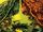 Swamp Thing Green Hell Vol 1 1 Francavilla Variant.jpg