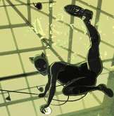 Selina Kyle Possible Futures The New Golden Age