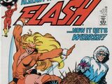 The Flash Vol 2 28