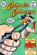 Wonder Woman Vol 1 210