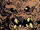 Clayface Last Knight on Earth 0001.jpg