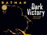 Batman: Dark Victory Vol 1 3