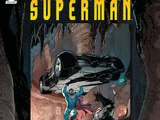 Batman/Superman: Futures End Vol 1 1