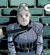 Fairy Godmother Vertigo Fables