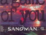 Sandman Vol 2 36