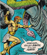 Hawkman Earth-D Justice Alliance of America