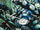 Clock King III Prime Earth 002.jpg