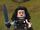 Donna Troy (Lego Batman)